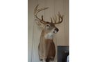 Property photo 192 - REAL ESTATE & PERSONAL PROPERTY AUCTION, 140 Acres offered in 8 Tracts or Combinations in Steuben County